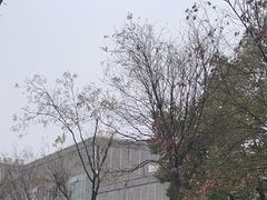 -江宁织造博物馆