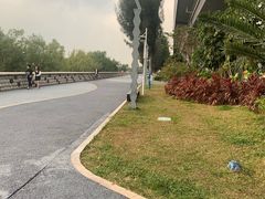 -宝安西湾红树林湿地公园