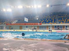 -重庆市奥林匹克体育中心-游泳跳水馆