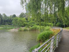 -美兰湖景区
