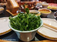 -重庆老火锅(长虹店)