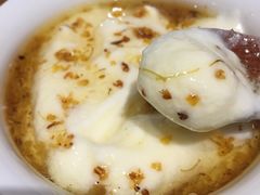 桂花酸奶-古树酸奶(八廓南街店)