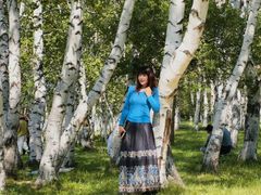 -乌兰布统景区-白桦林