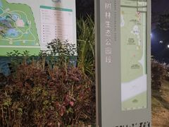 -福田红树林生态公园