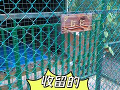 -太极禅苑
