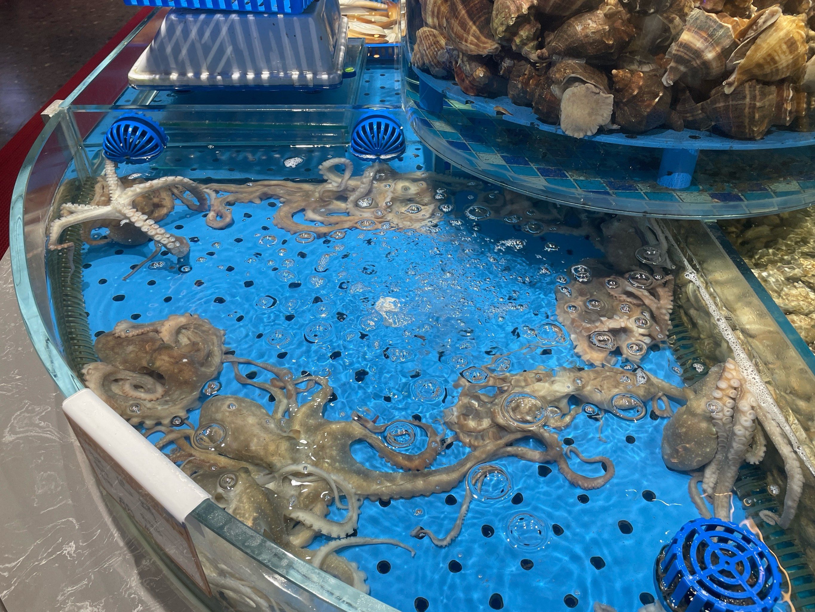 大卡大连金碧辉煌