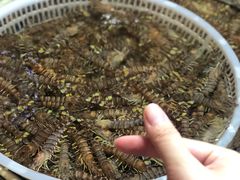 -王四营海鲜市场