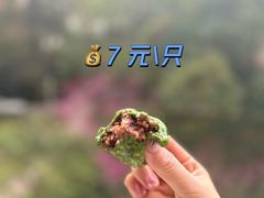 艾叶枣泥核桃青团-王家沙点心店(南京西路总店)