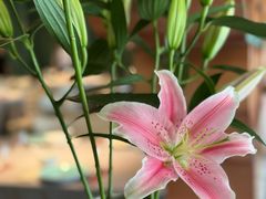 -南堂馆·新川菜(春熙路店)