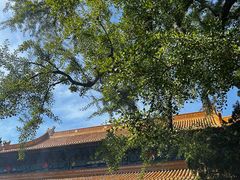 -普陀山风景名胜区-法雨禅寺