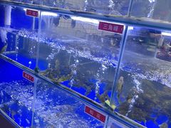 -石锅苗苗鱼(武汉首店)