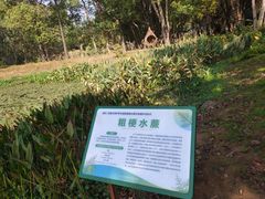 -东湖落雁景区