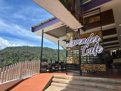 -金马仑薰衣草花园(Cameron Lavender)