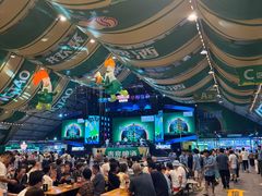 -第35届青岛国际啤酒节