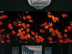 -慧因高丽寺