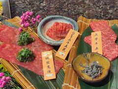 -老乾杯(深圳湾万象城店)