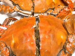 -北塘海鲜·天津菜(大光明桥旗舰店)