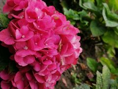 -黑龙江省森林植物园