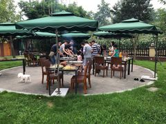 -洪湖家庭农场·团建·露营·会议