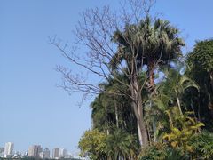 -南宁南湖公园