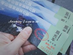 -杭州半山国家森林公园