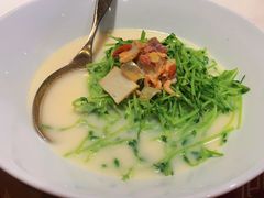 上汤豆苗-禄鼎记·多口味酸菜鱼(侨鑫店)