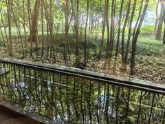 -东方明珠老上海8号餐厅(东方明珠广播电视塔店)