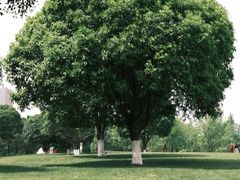 -重庆中央公园(渝北区)