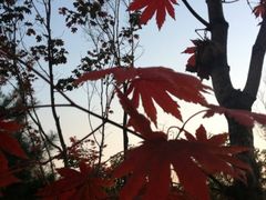 -长春公园(普阳街道)