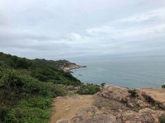 -广东惠东海龟国家级自然保护区
