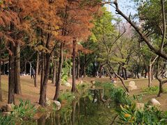 -人民公园(罗湖区)