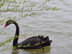 -郑州中国绿化博览园