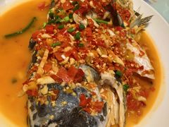 -全乐鱼馆·淳牌有机鱼直营店