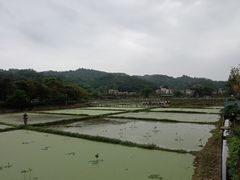 -红山村