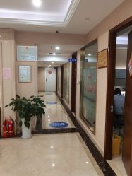 -碧莲盛·不剃发植发