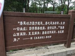 -北京麋鹿生态实验中心
