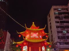 -越秀西湖花市(广州城市广场花卉店)
