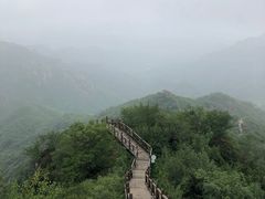-大岭沟猕猴桃谷风景区