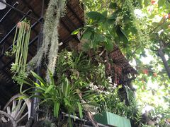 -自然餐厅(Phuket)