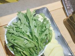 -陈记顺和牛肉火锅馆(林乐路店)