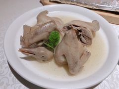 招牌乳鸽-维园悦谱·海派家常菜(乌鲁木齐南路店)
