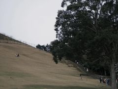 -奈良公园