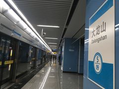 -大龙山(地铁站)