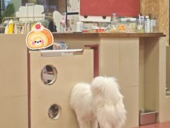 -和它·交个朋友·狗咖猫咖(爱琴海店)