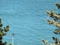 -崂山仰口游览区