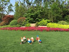 -上海崇明金茂凯悦酒店