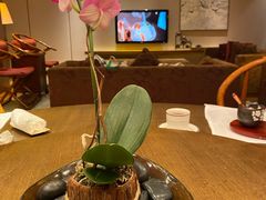 -广州富力君悦大酒店空中花园