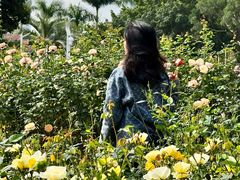 -人民公园(罗湖区)