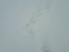 -大和洗浴休闲会所(宏大广场店)