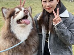 -上海神旺大酒店